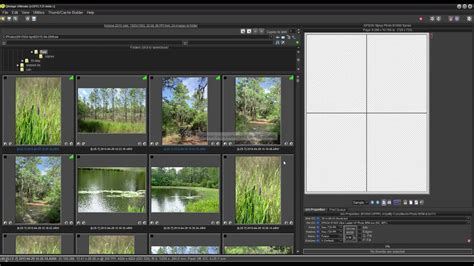 Download Qimage Ultimate 2023.101